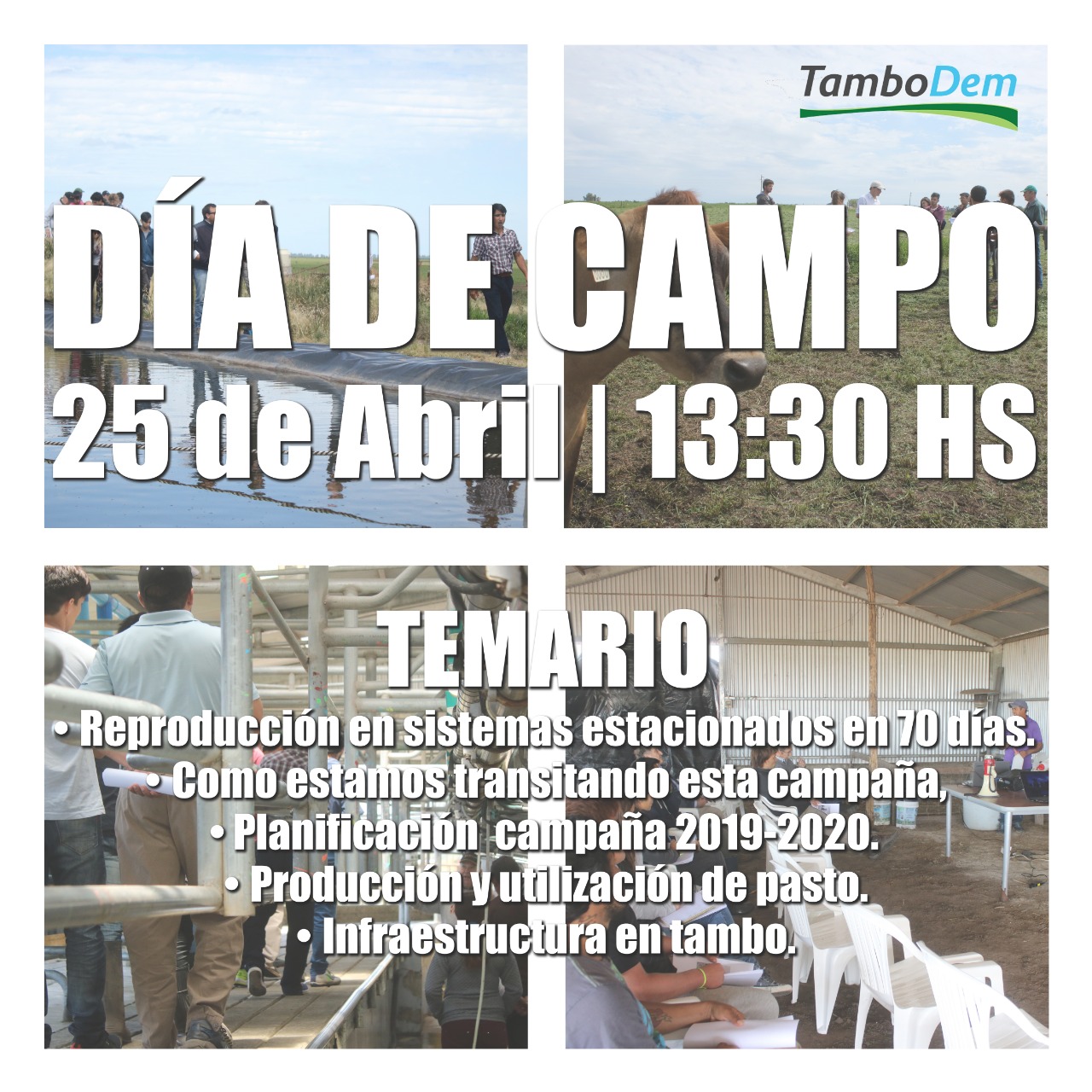 Día de campo en TamboDem