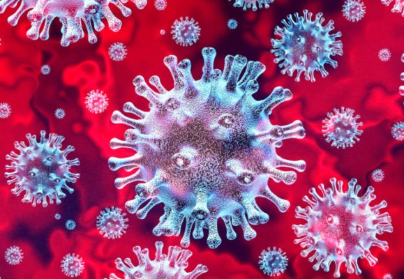 Coronavirus: cómo prevenirlo en el tambo