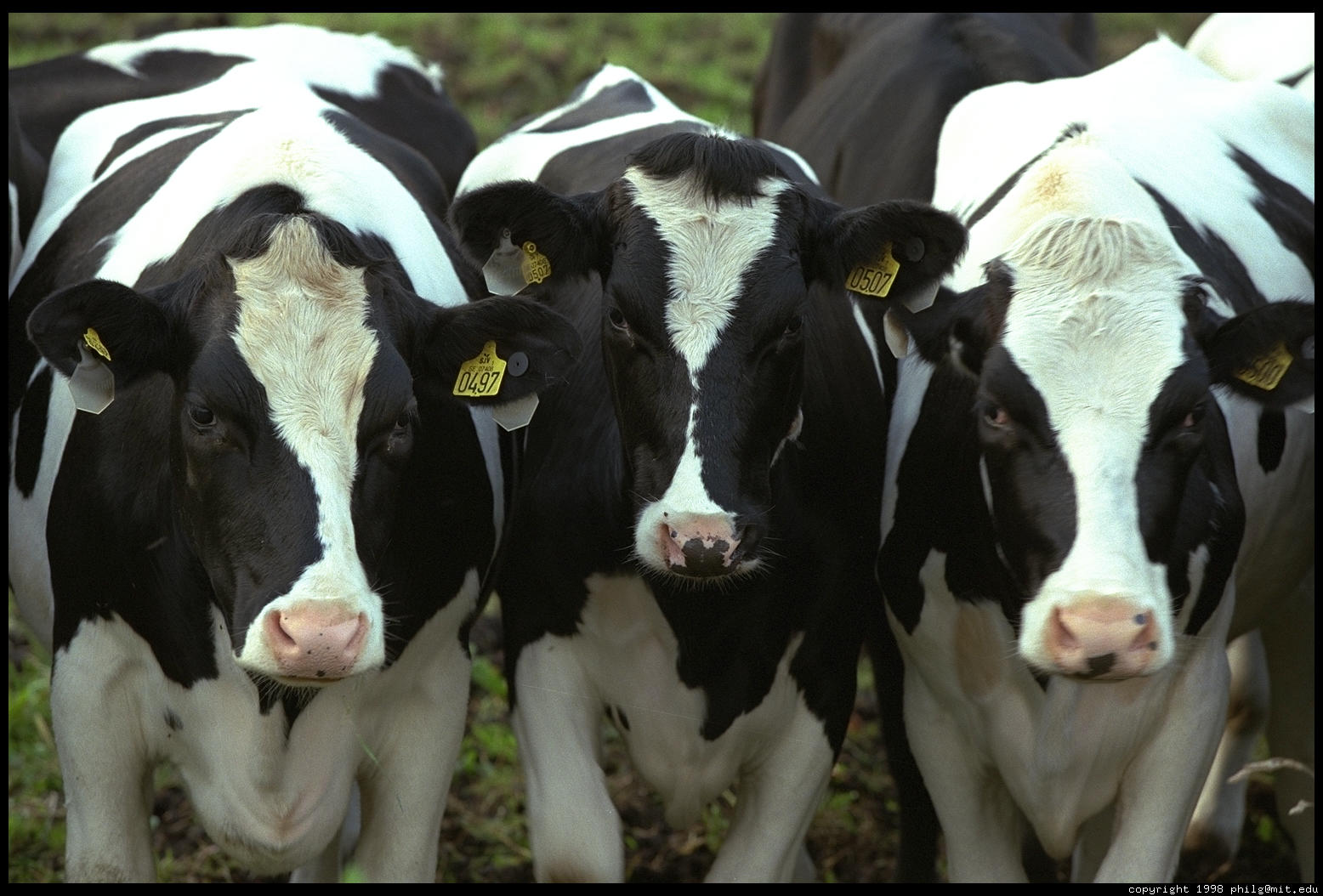 Cámaras de productores lecheros y entidades gremiales se reunieron con la Dirección Nacional de Lechería