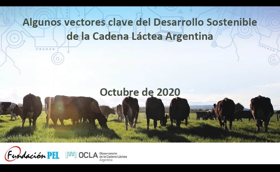FunPEL - Algunos vectores clave del desarrollo sostenible de la cadena láctea argentina.