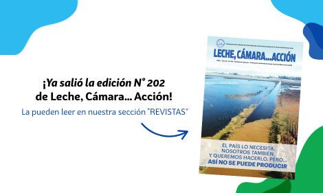 Edición 202
